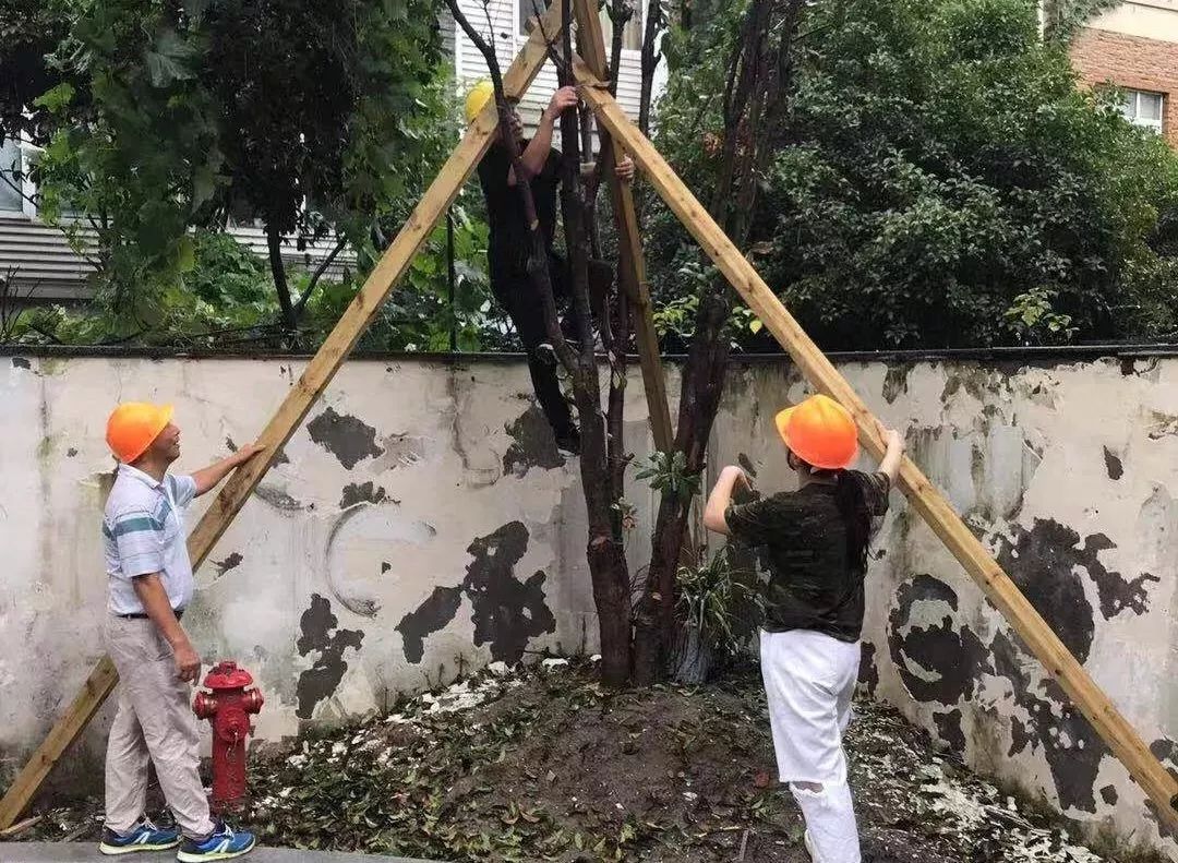 浙大附中丁兰校区_浙大附中丁兰校区成立时间_浙大附中丁兰宣传片