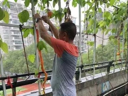 浙大附中丁兰校区成立时间_浙大附中丁兰校区_浙大附中丁兰宣传片