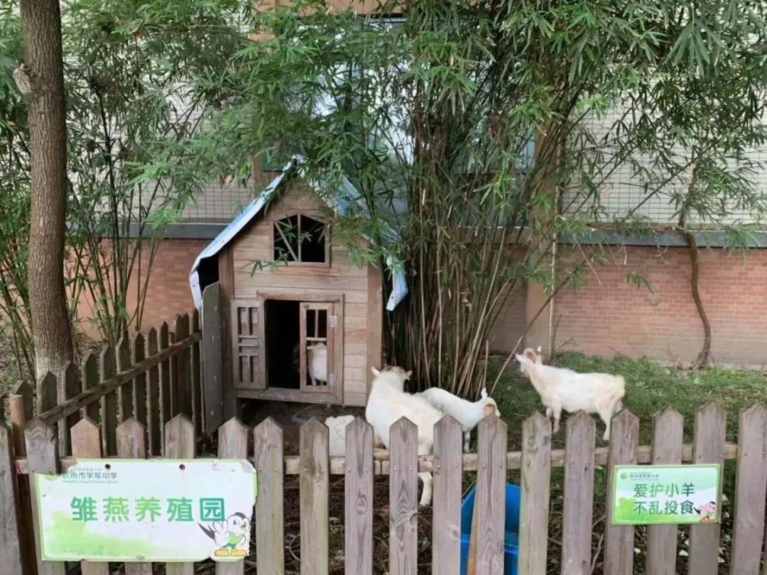 浙大附中丁兰校区_浙大附中丁兰宣传片_浙大附中丁兰校区成立时间