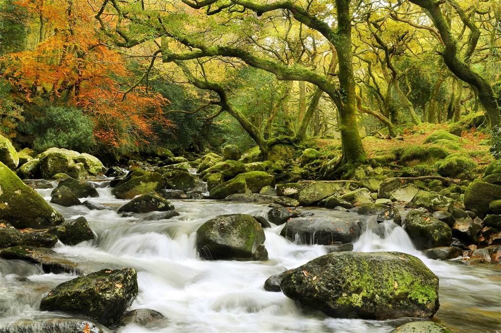 鬓的拼音_鬓影衣香_鬓