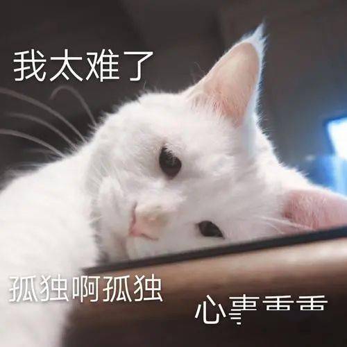 中和中学在成都排名_成都中和初中有哪些学校_成都中和中学2020升学率