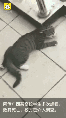 广西职业师范学院宿舍_广西职业师范大学宿舍_广西师范职业学院宿舍照片