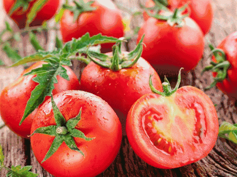 泛的组词_广泛的泛是哪个泛_泛光