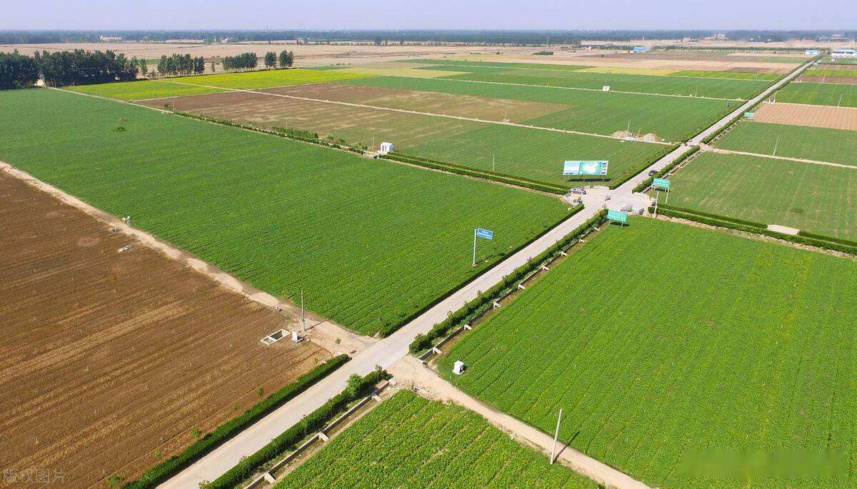 无地自容的意思_无地_无地自容鼓谱