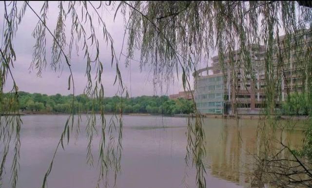 湖南各学院录取分数线_湖南学院专业分数线_湖南工学院录取分数线