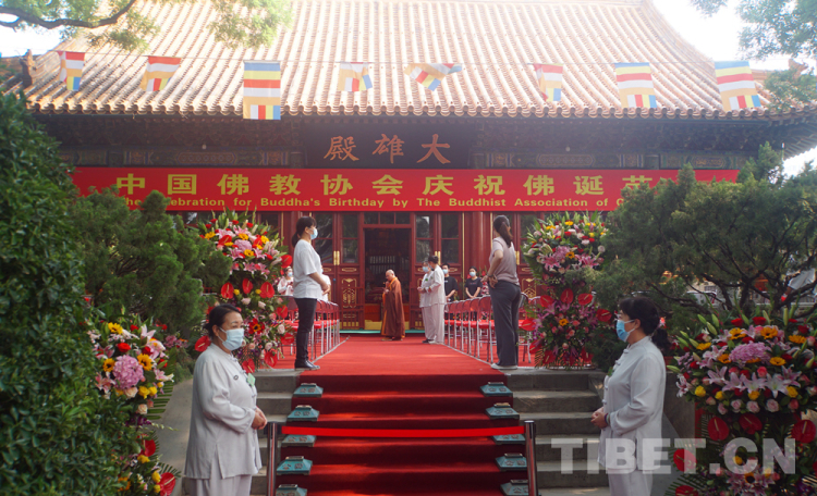 佛历_佛历软件_佛历通