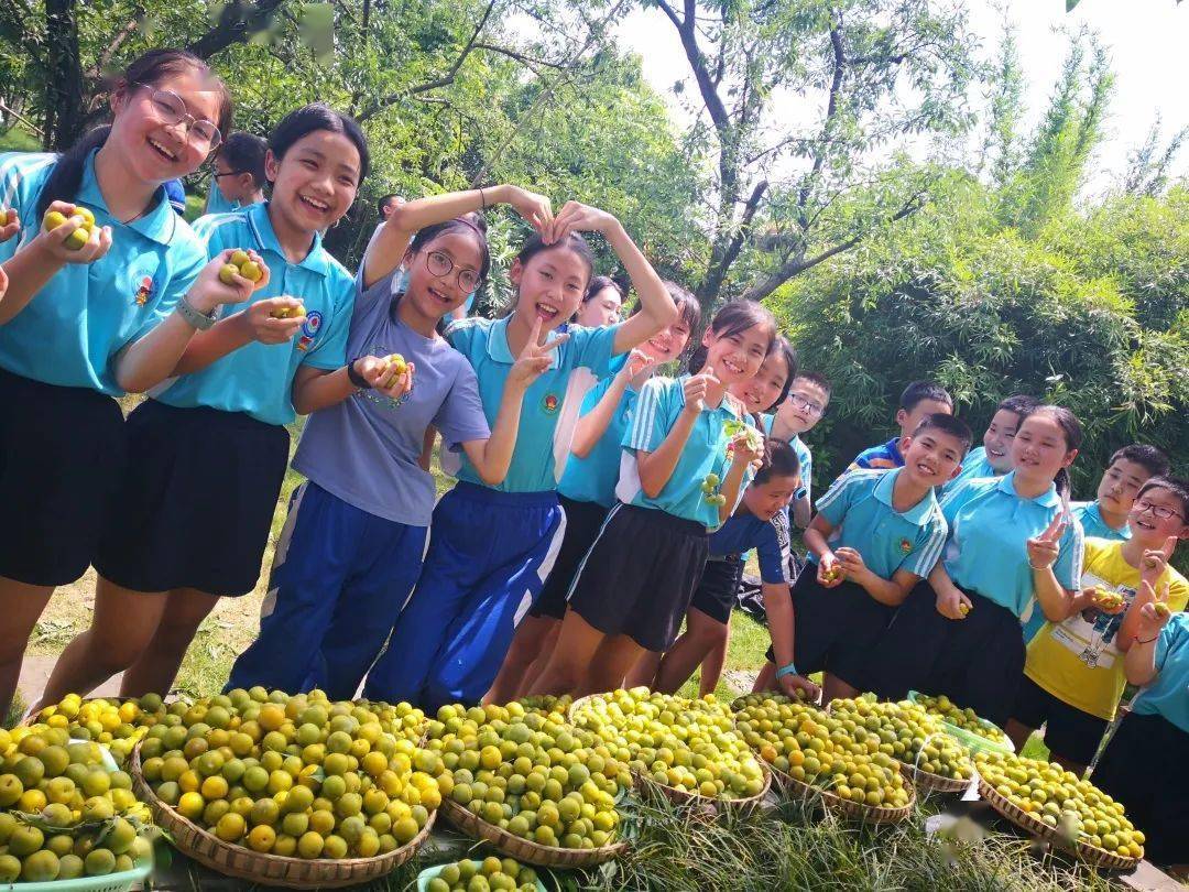 微波粼粼类似的成语_微波粼粼的拼音_微波粼粼