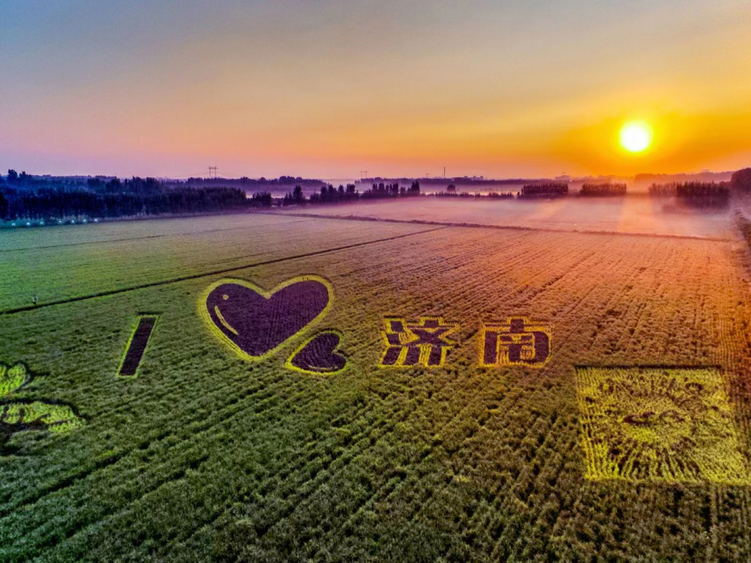 碧春酒_碧春_一碧千里