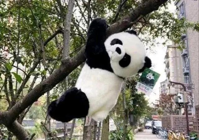 英语口语培训一对一_他们英语_英语口语网课推荐