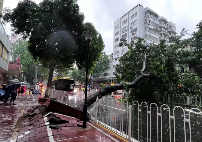 #6_6月日历_60秒避难所下载