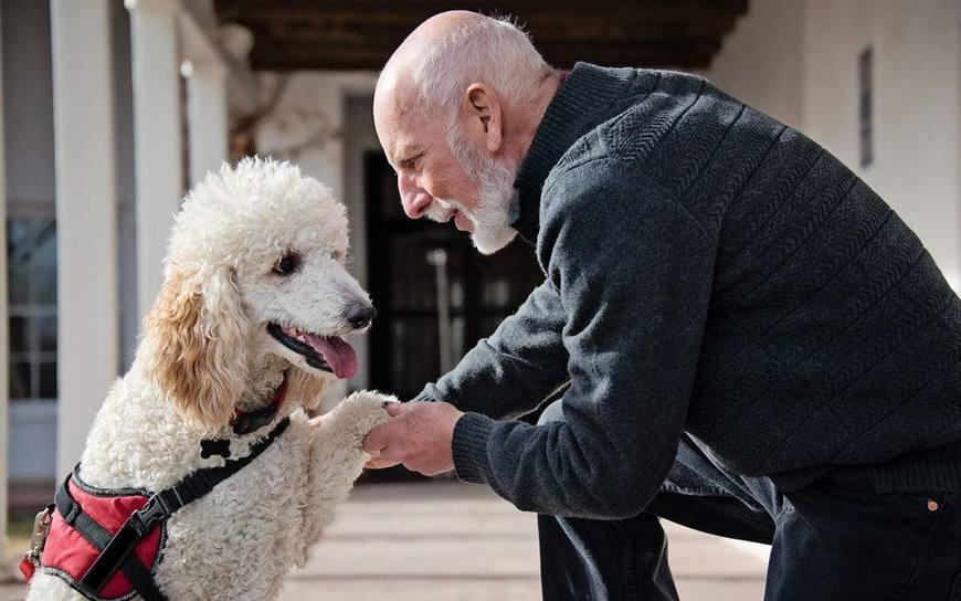 屎读什么字_屎读几声_屎怎么读