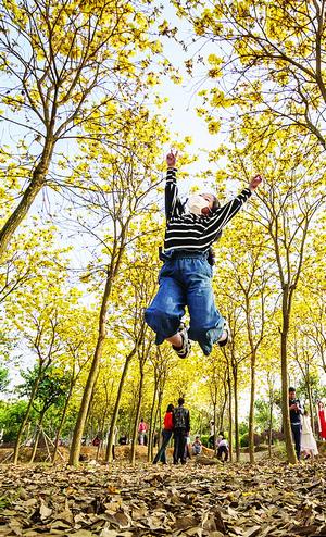 黄导航_黄导航_黄导航