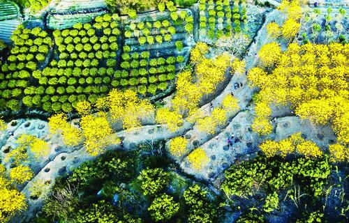 黄导航_黄导航_黄导航