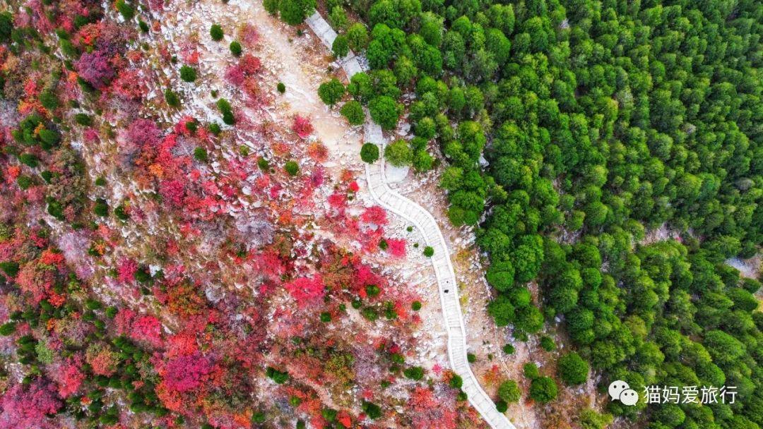 黄导航_黄导航_黄导航