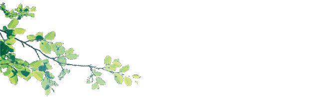 山东科技大学录取分数线_山东大学科技大学录取分数线_山东科技录取分数线2021