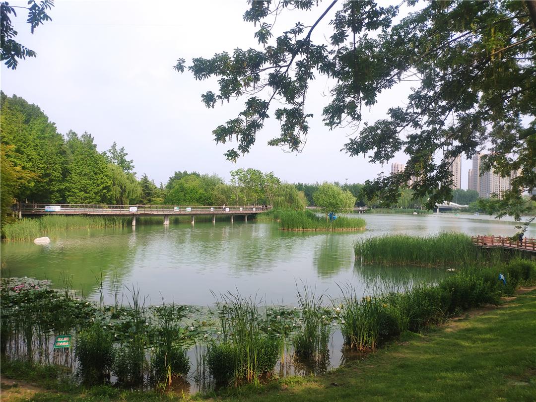 中考分数线济宁_中考分数线2021年公布济宁_济宁中考分数线