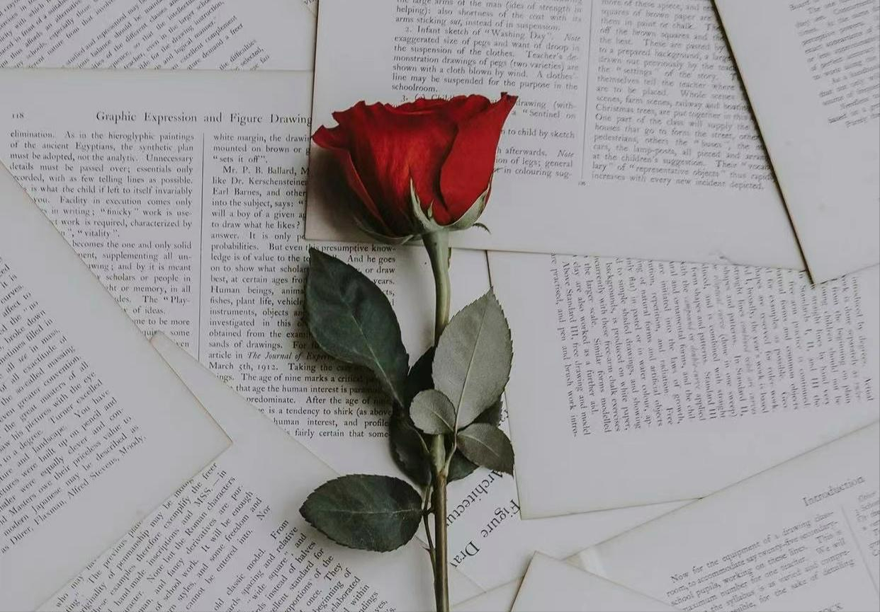 拼音薄的拼音怎么写_薄情拼音怎么写_薄情的拼音