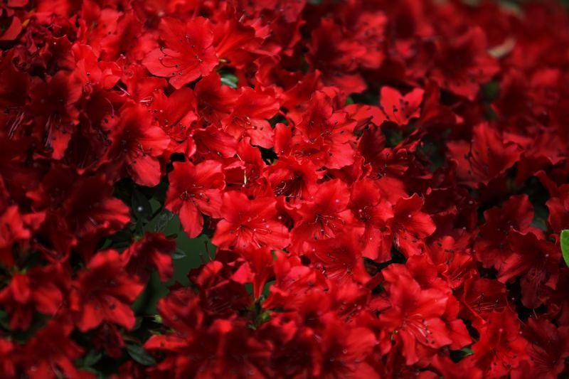 含组字_含组字_含组字