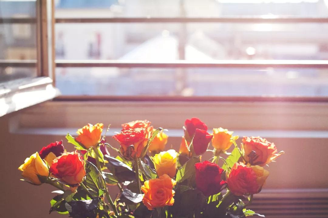 谢谢写10句说理由_谢谢写法_谢谢怎么写