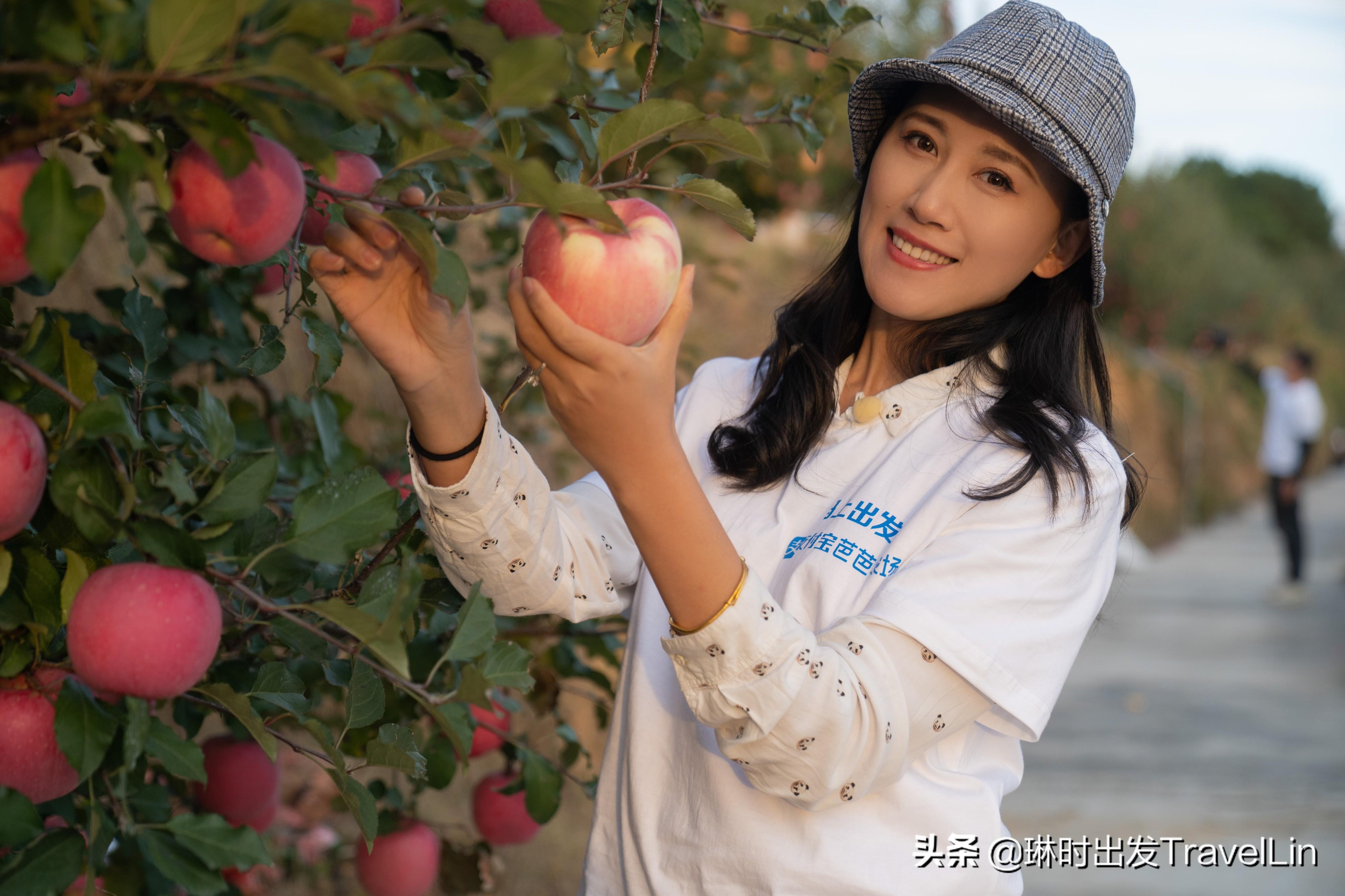 芭芭_芭比馒头_芭蕾舞