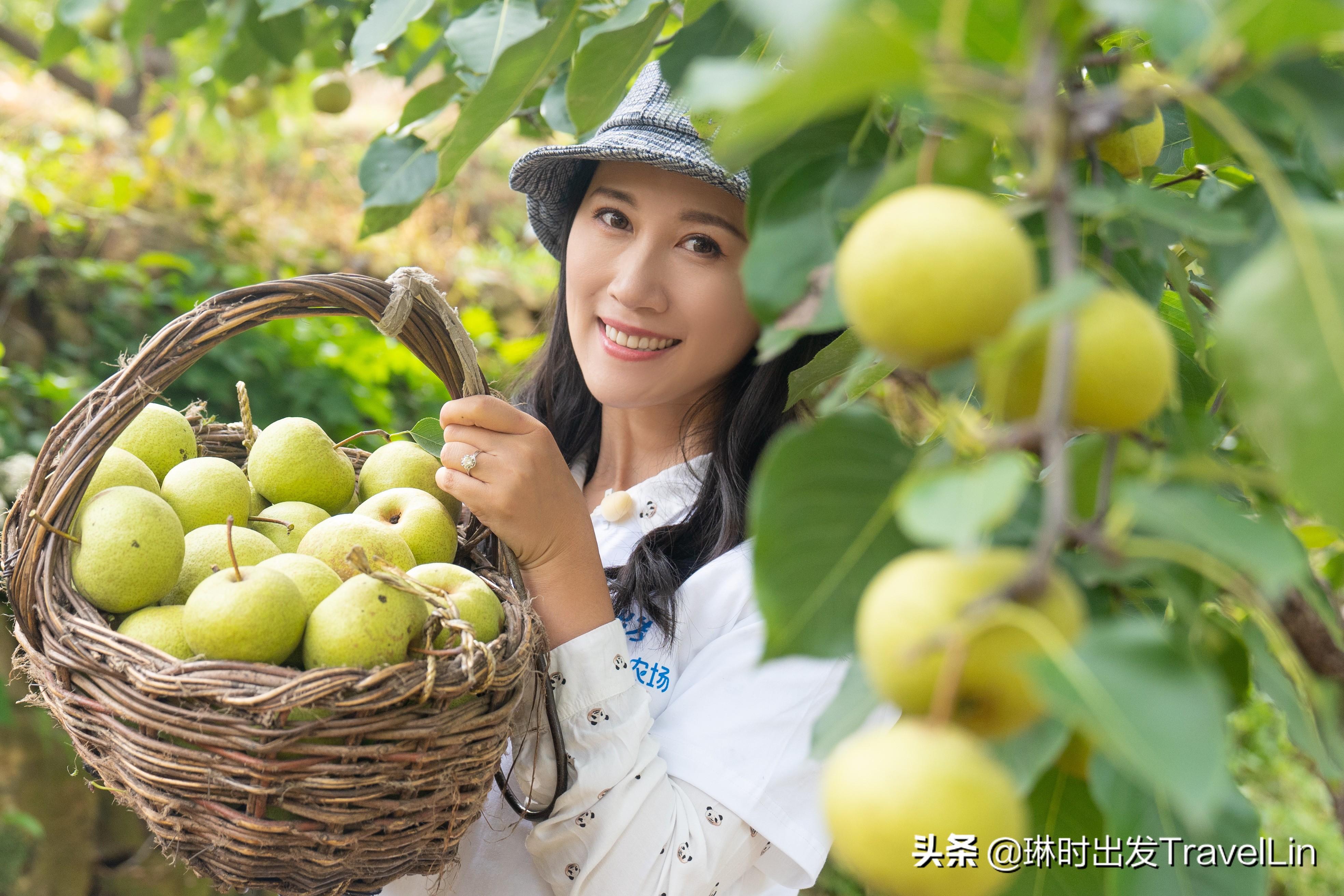 芭比馒头_芭芭_芭蕾舞