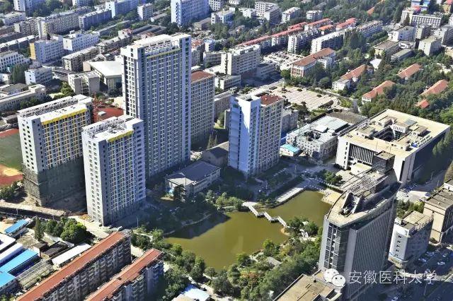 安徽大学医学院分数线_安徽医科大学2023年录取分数线_安徽医学类大学录取分数线