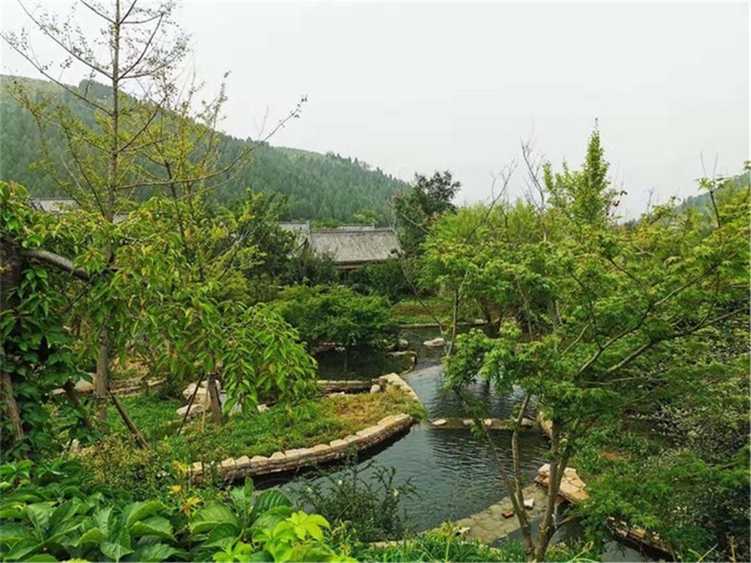 中考满分多少分2021济宁_济宁中考满分多少分_济宁中考满分