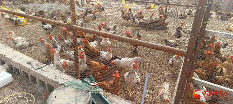 喔喔喔喔_喔喔糖果_喔喔喔