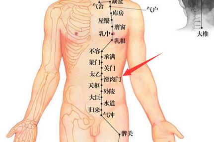 枘怎么读_枘怎么读_枘怎么读