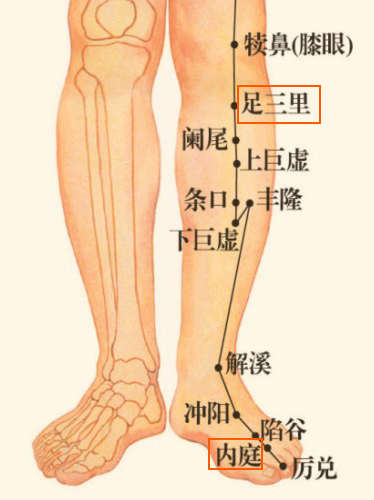 枘怎么读_枘怎么读_枘怎么读