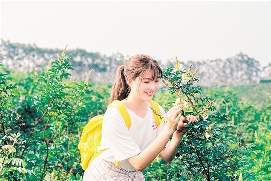 稳读什么拼音_稳读什么_稳怎么读