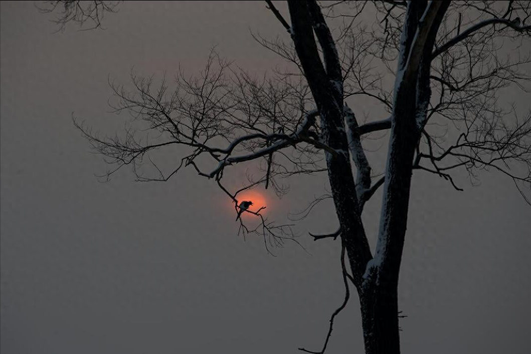 求rb的隐晦意思是_晦意思是什么_晦是什么意思