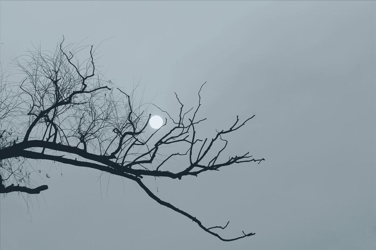 晦意思是什么_求rb的隐晦意思是_晦是什么意思