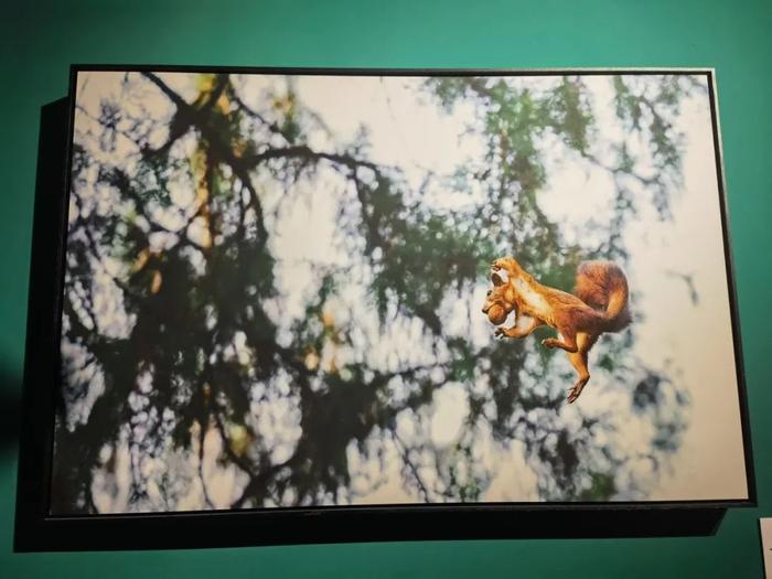 大好_平衡车大轮好还是小轮好_轮椅大轮好还是小轮好