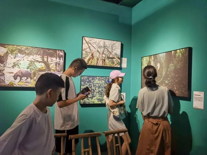 大好_平衡车大轮好还是小轮好_轮椅大轮好还是小轮好