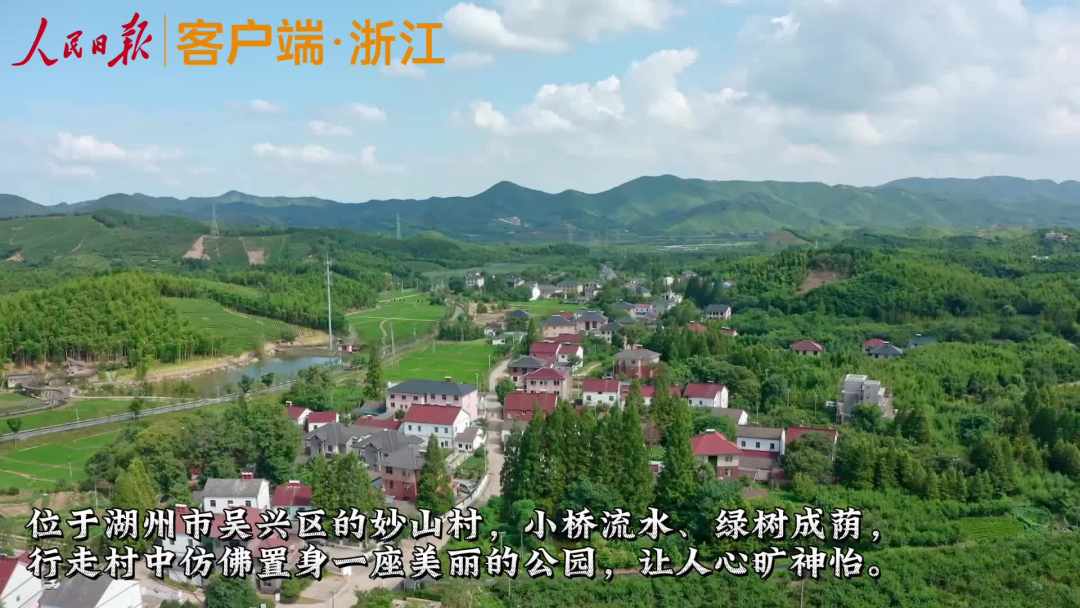 在妙山村，瞥见未来乡村美妙模样|高质量发展调研行·浙江站