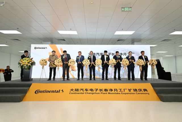 现在第几周_周现在有多少人口_周现在在哪