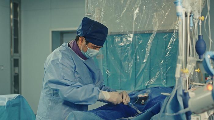 英文生命编码表_生命英文_英文生命的复数