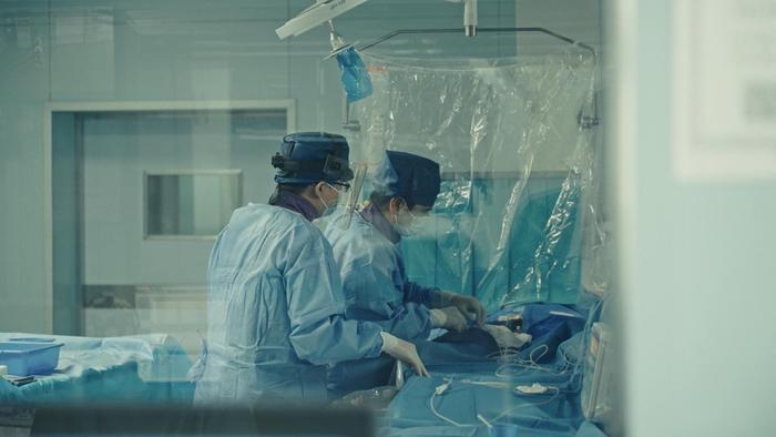 英文生命的复数_生命英文_英文生命编码表