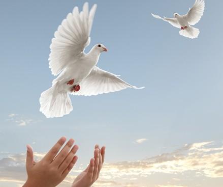 未来翻译_翻译未来会被取代吗_翻译未来会被淘汰的