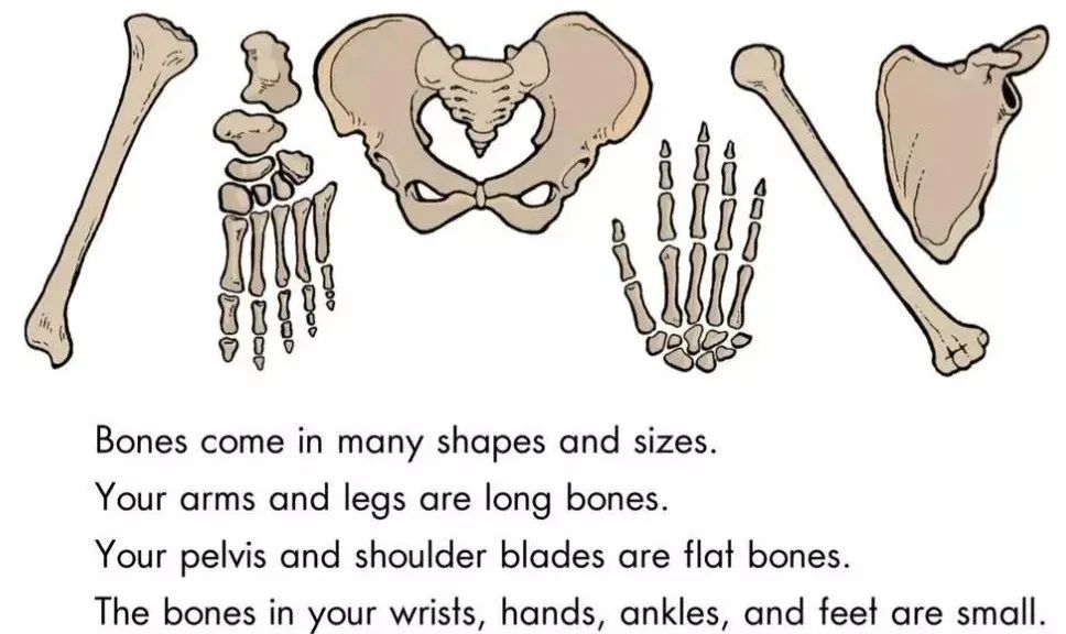 造句whatever_造句whatabout_what造句