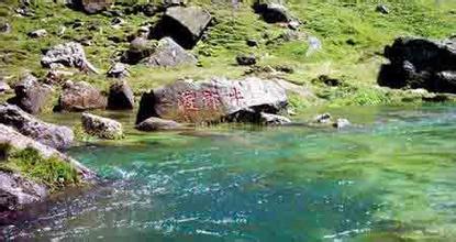 乘的读音_乘多音字读音_读音乘机