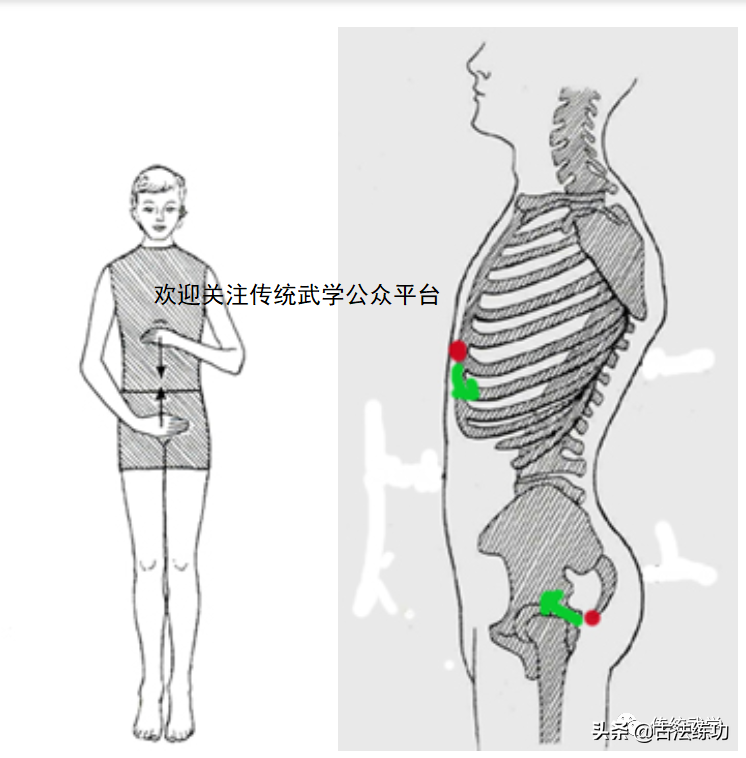 合字的结构和部首是什么_合字结构_合字到底是什么结构
