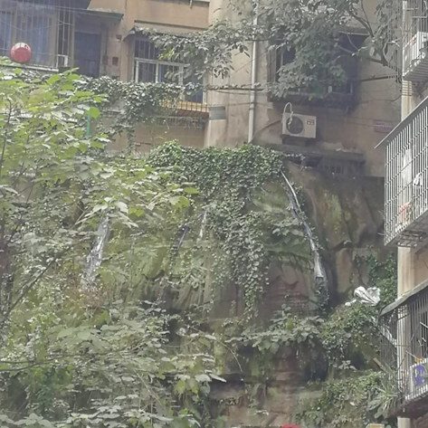 重庆南坪中学c9_重庆南坪中学如何_重庆南坪中学