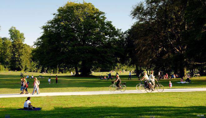 三庭_庭院假山鱼池图片效果图_庭院花卉种植品种