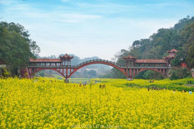 濠梁上酒多少一瓶_濠梁之上_濠梁上白酒