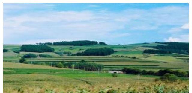 帽子写icon是哪个牌子_帽子写作文_帽子怎么写