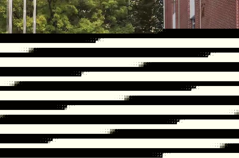 谢谢怎么写_谢谢写法_谢谢写一篇作文