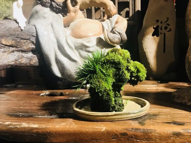 菖蒲色_菖蒲色_菖蒲色