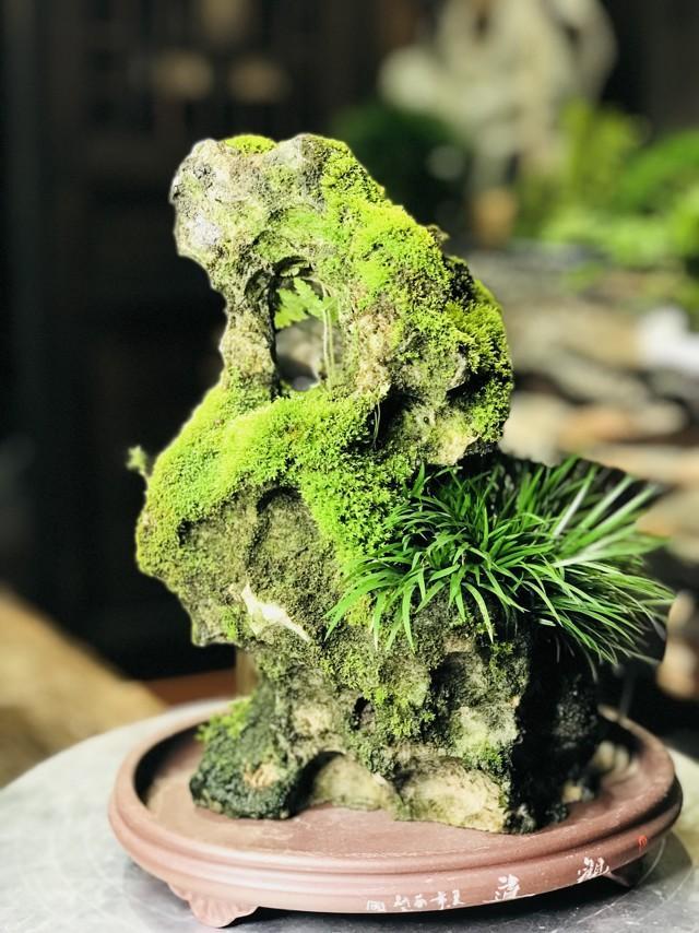 菖蒲色_菖蒲色_菖蒲色